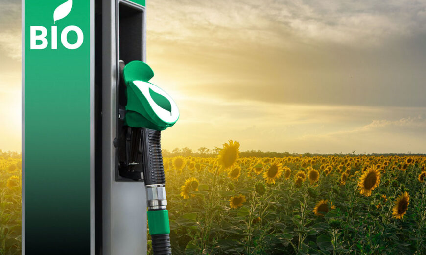 Biocombustibles como el bioetanol son una alternativa en la descarbonización para lograr la transición energética