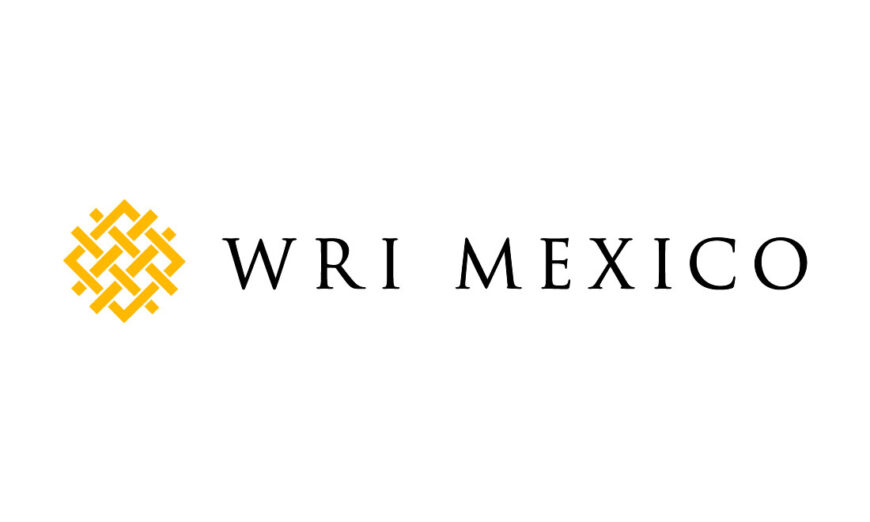 Señala WRI incertidumbre como freno en la transición hacia la electromovilidad en México